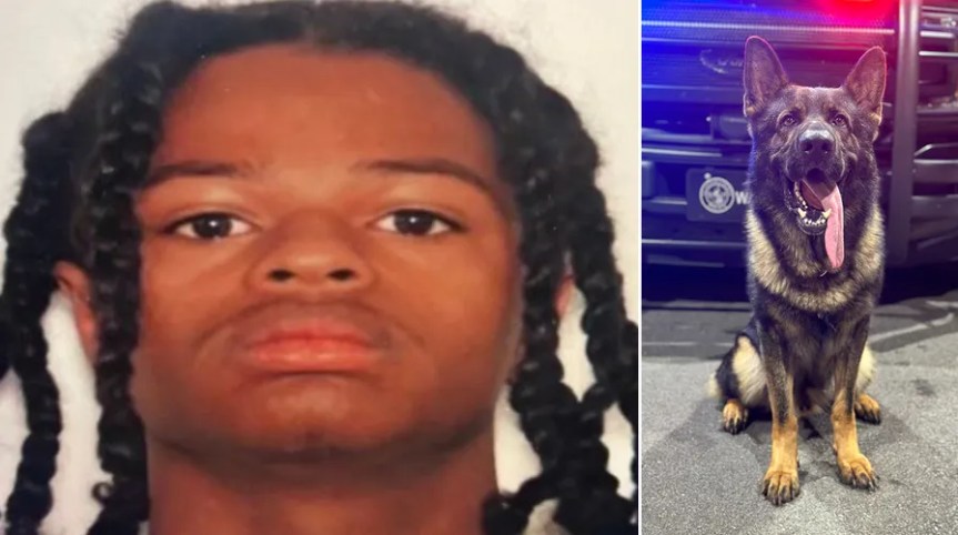 Все симпатии на стороне полицейского пса. Ноль – в пользу застрелившего собаку 17-летнего негра.